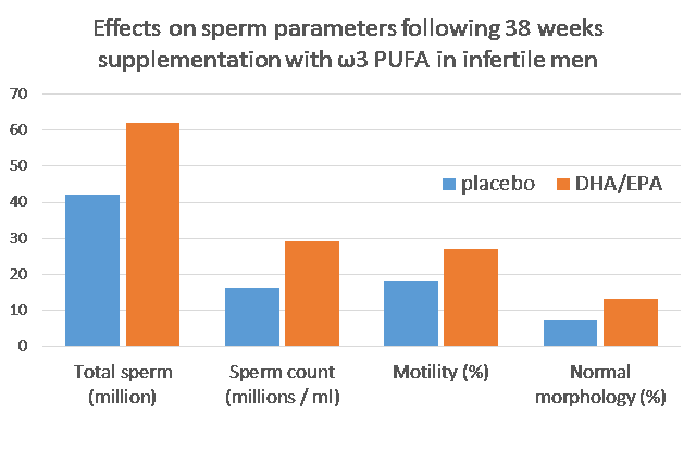 n3-pufa-effect-on-sperm