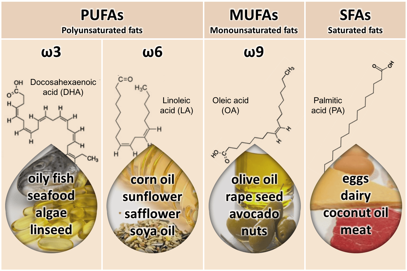 Saturated And Unsaturated Fatty Acids List at Marilyn Pesina blog