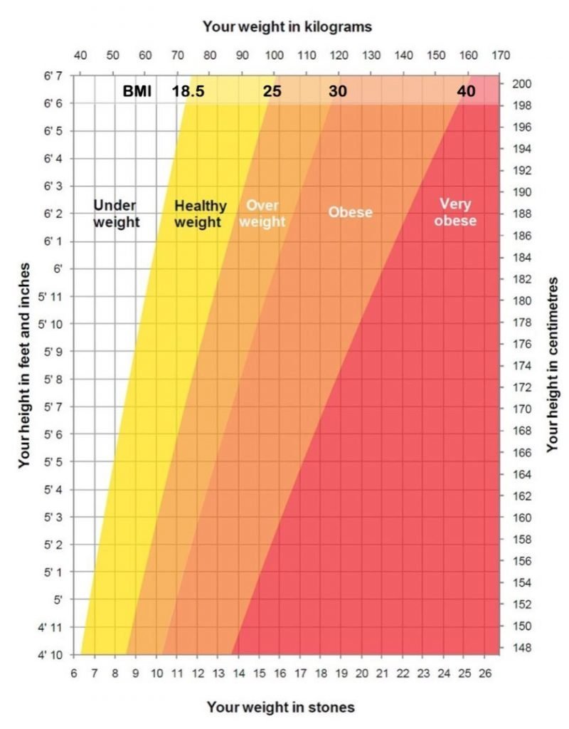 Printable BMI Chart NHS